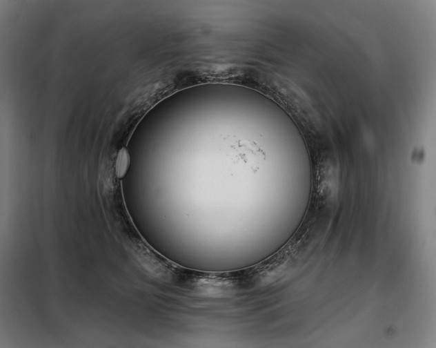 X0000098110515200804041347