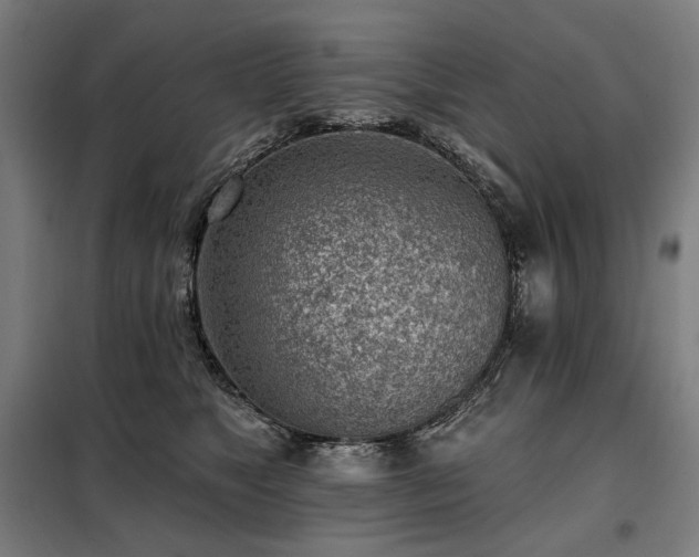 X0000098110517200804041347