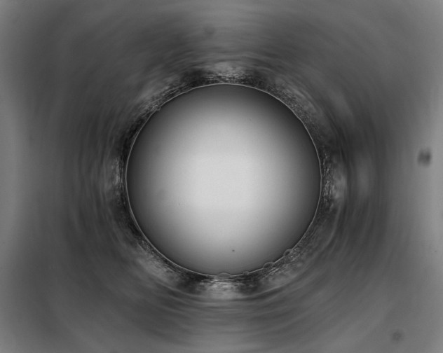 X0000098110518200804041347