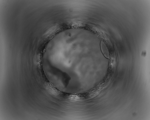 X0000098110519200804041347