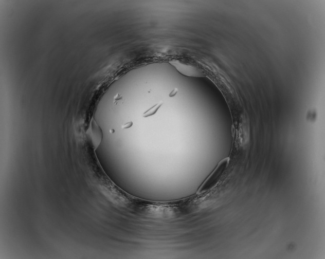 X0000098110520200804041347