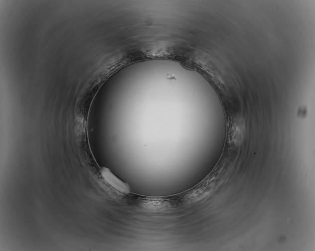 X0000098110521200804041347