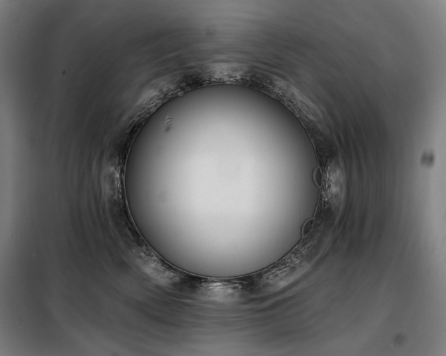 X0000098110522200804041347