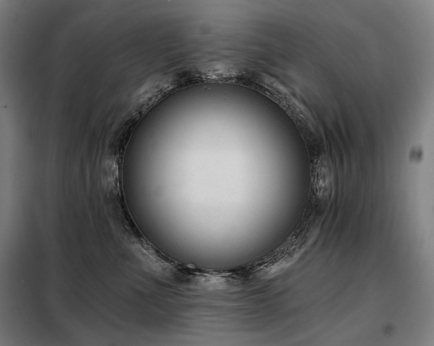 X0000098110523200804041347