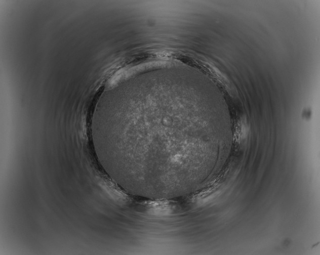 X0000098110524200804041347