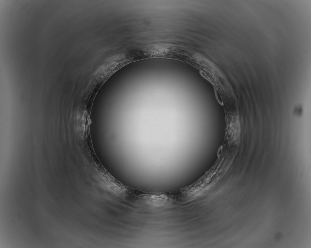 X0000098110525200804041347
