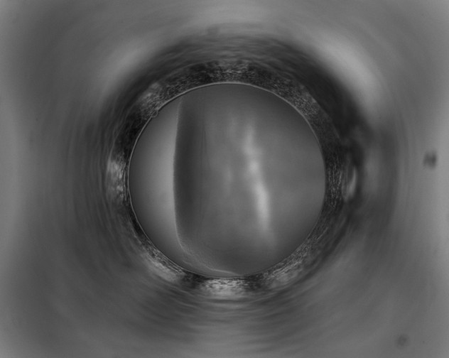 X0000098110526200804041347