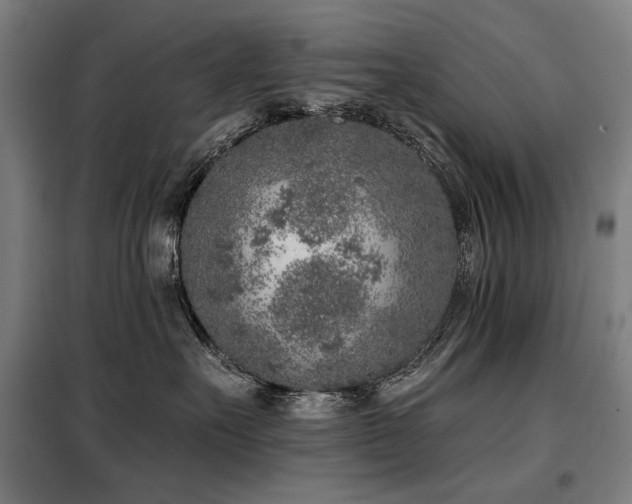 X0000098110527200804041347