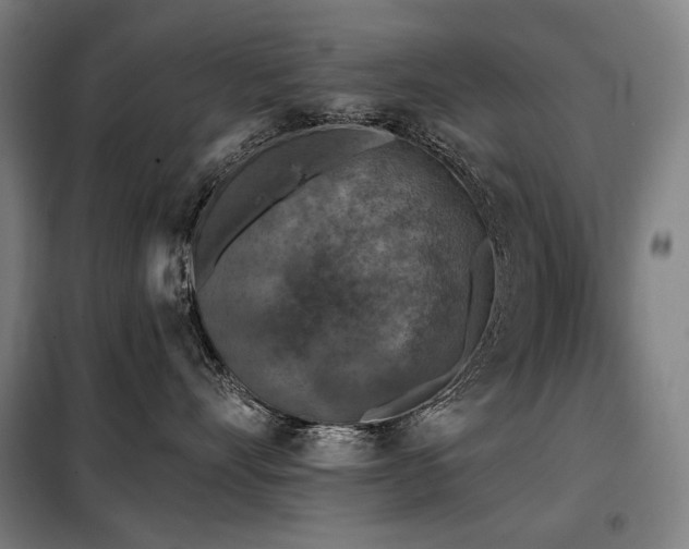 X0000098110528200804041347
