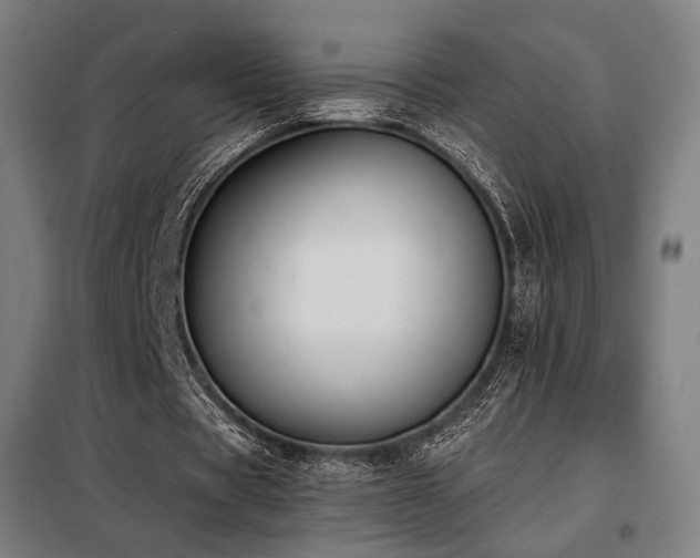 X0000098110529200804041346