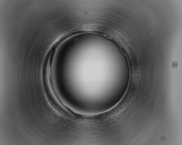X0000098110530200804041346