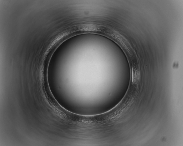 X0000098110531200804041346