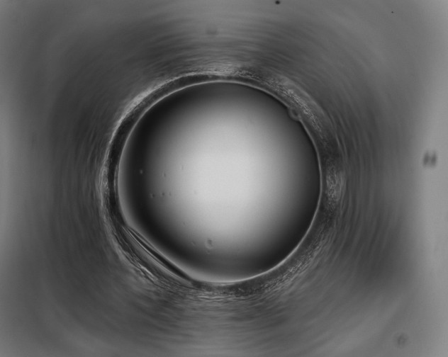 X0000098110532200804041346