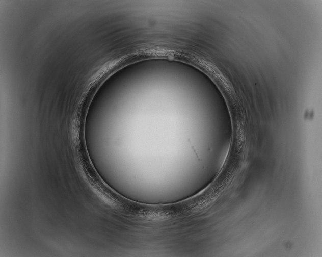 X0000098110533200804041346
