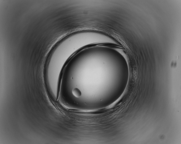X0000098110534200804041346