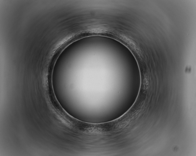 X0000098110535200804041346