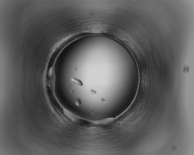 X0000098110536200804041346
