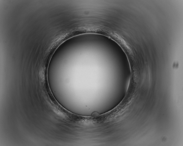 X0000098110537200804041346