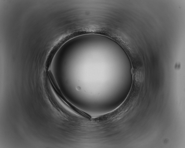 X0000098110540200804041346