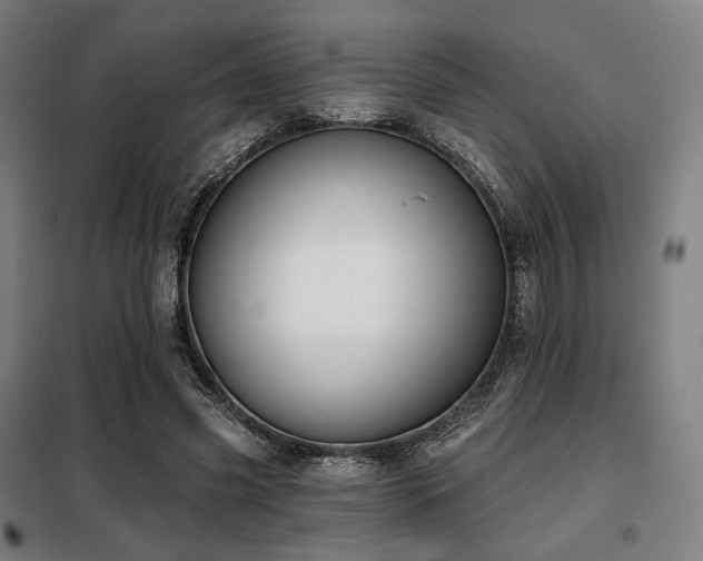 X0000098110541200804041346