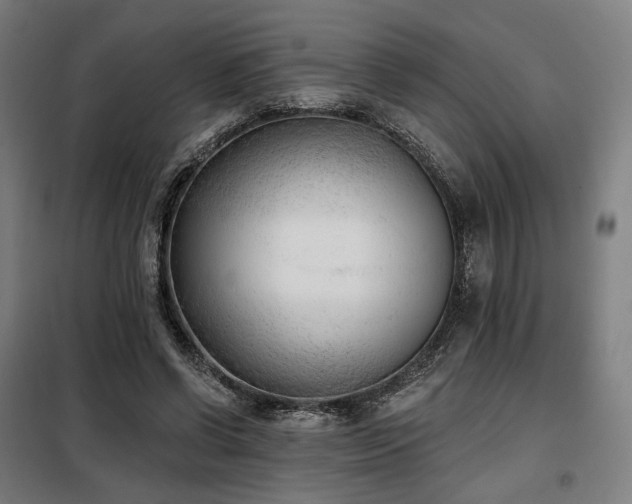 X0000098110542200804041346