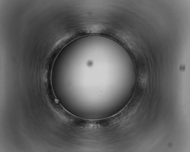 X0000098110543200804041346