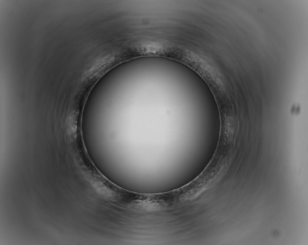 X0000098110545200804041346
