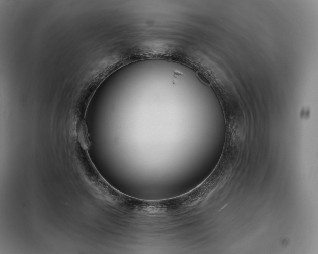 X0000098110546200804041346