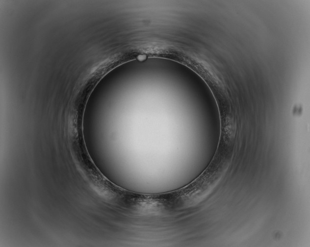 X0000098110547200804041346