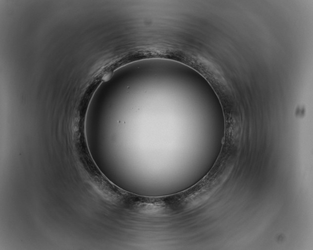 X0000098110548200804041346