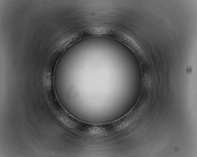 X0000098110549200804041346