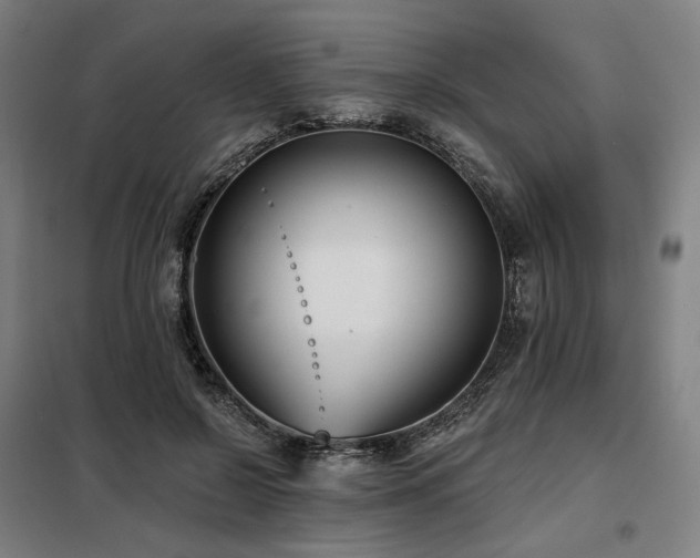 X0000098110550200804041346