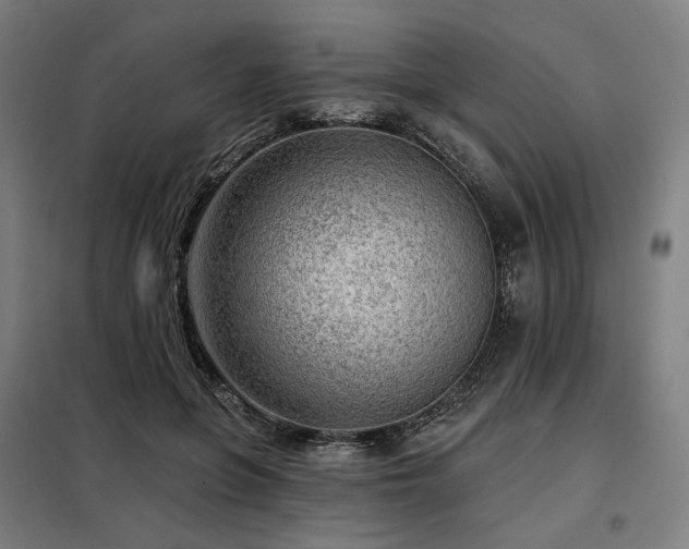 X0000098110551200804041346