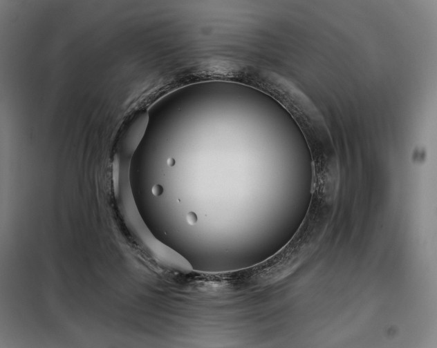 X0000098110552200804041346