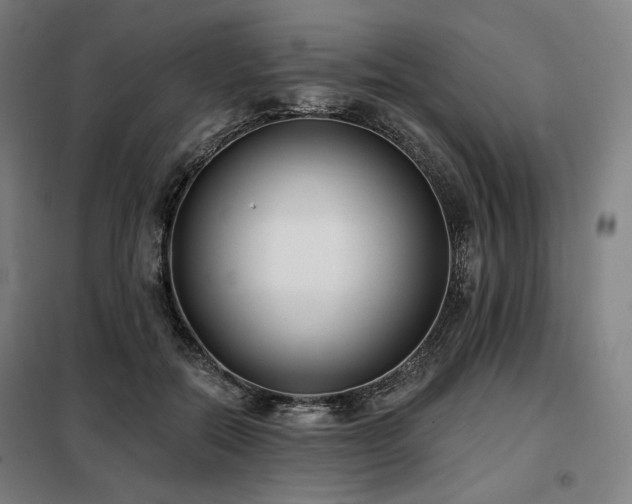 X0000098110554200804041346
