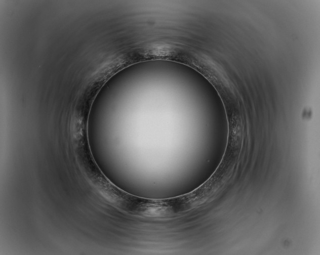 X0000098110555200804041346