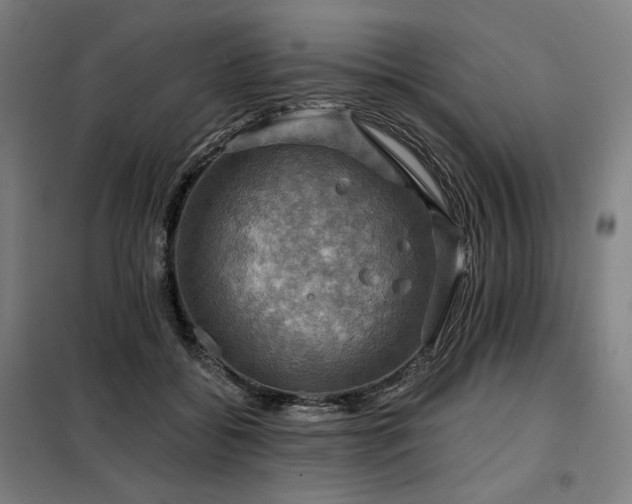X0000098110556200804041346