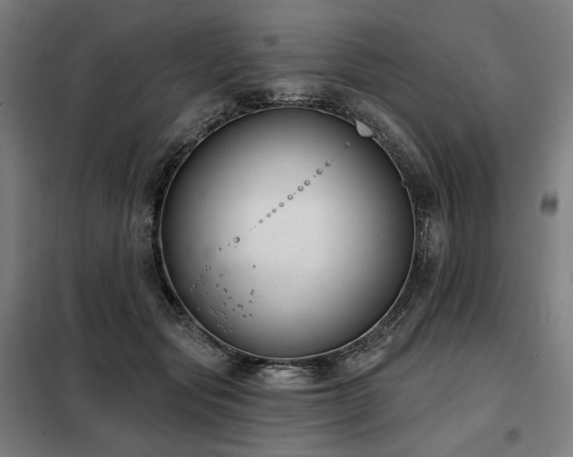 X0000098110557200804041346