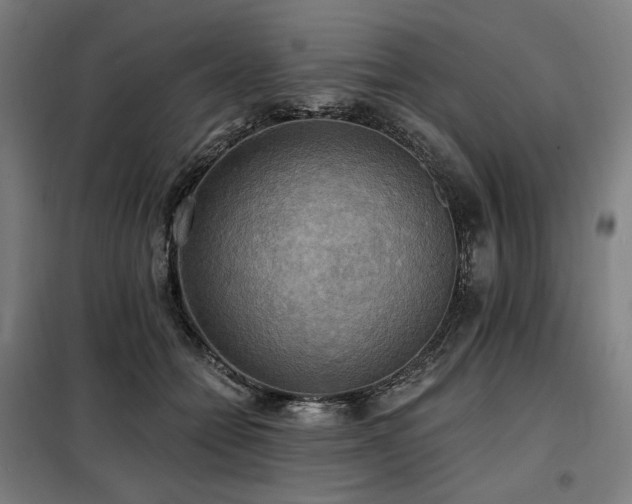 X0000098110558200804041347