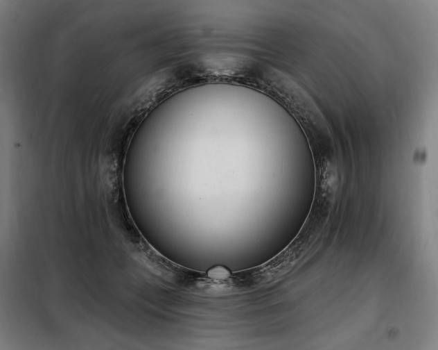 X0000098110559200804041347