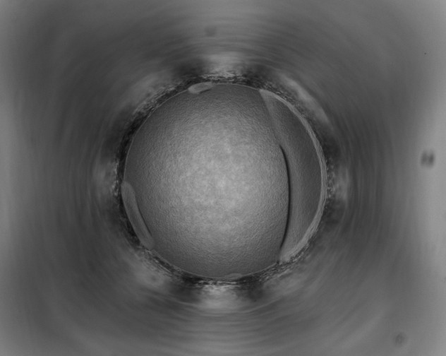 X0000098110560200804041347
