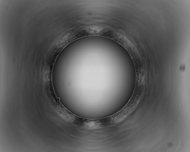 X0000098110561200804041347