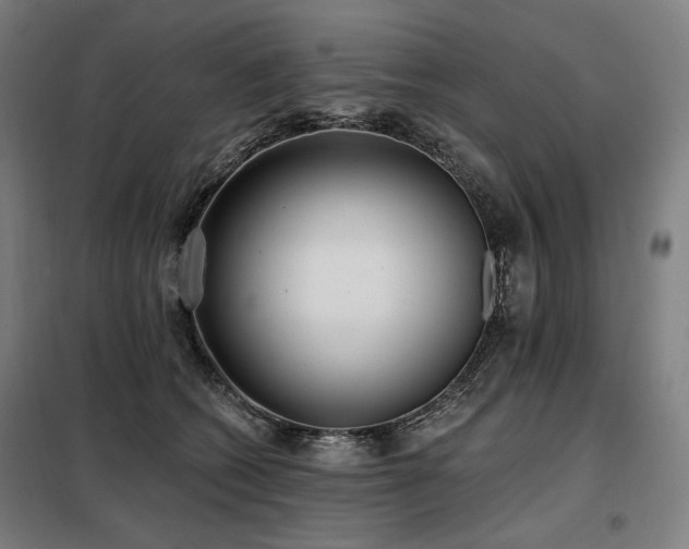 X0000098110562200804041347