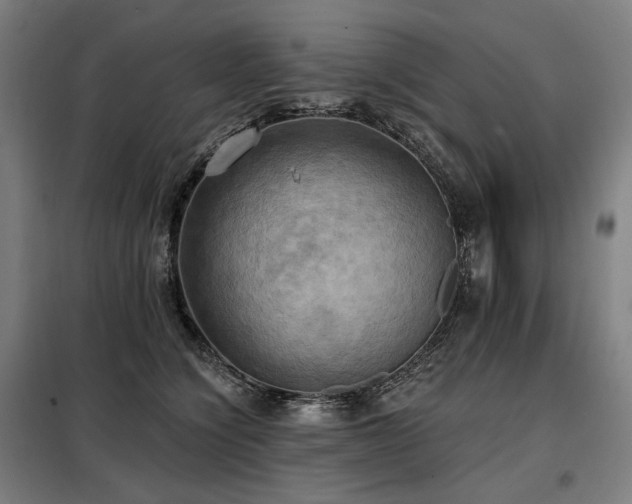 X0000098110564200804041347