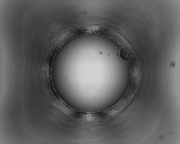 X0000098110565200804041347