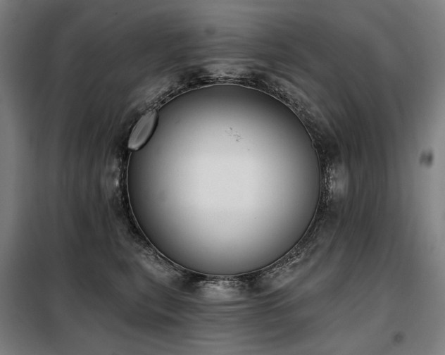 X0000098110567200804041347
