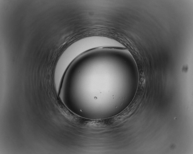 X0000098110568200804041347