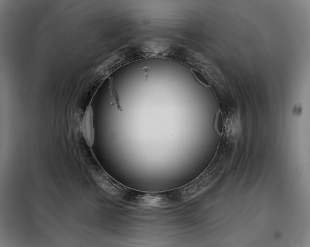 X0000098110570200804041347