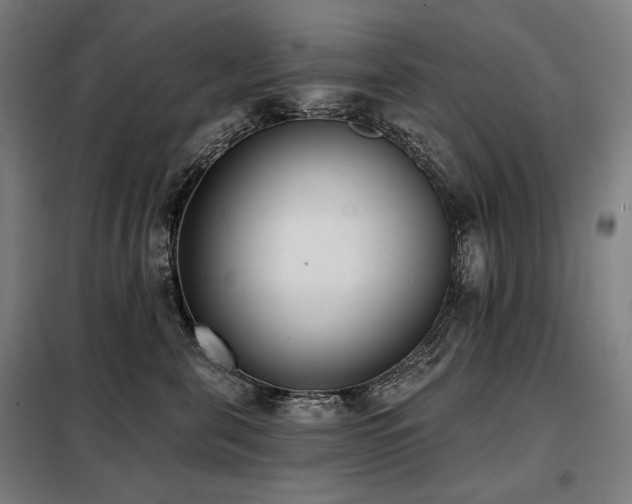 X0000098110571200804041347