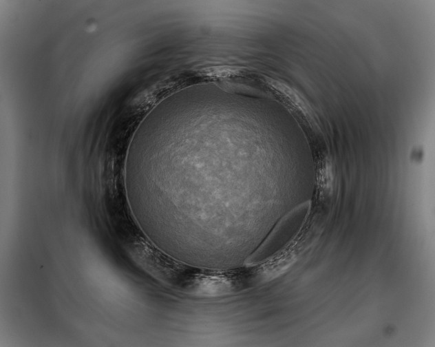 X0000098110572200804041347